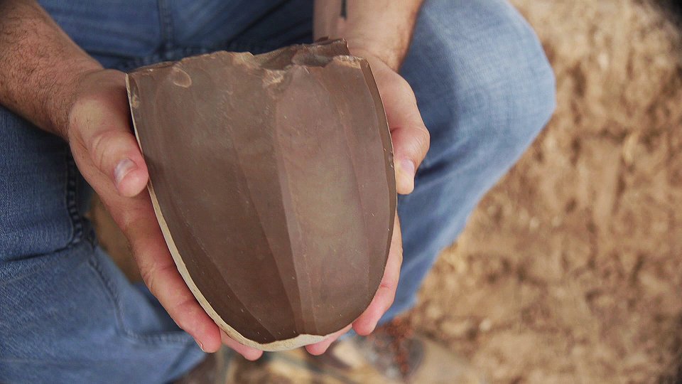 Φωτογραφία: Israel Antiquities Authority