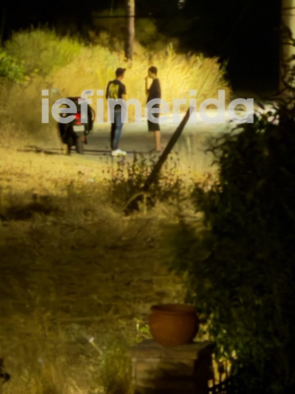 Οι δύο νεαροί που συνελήφθησαν για τη φωτιά στα Συχαινά