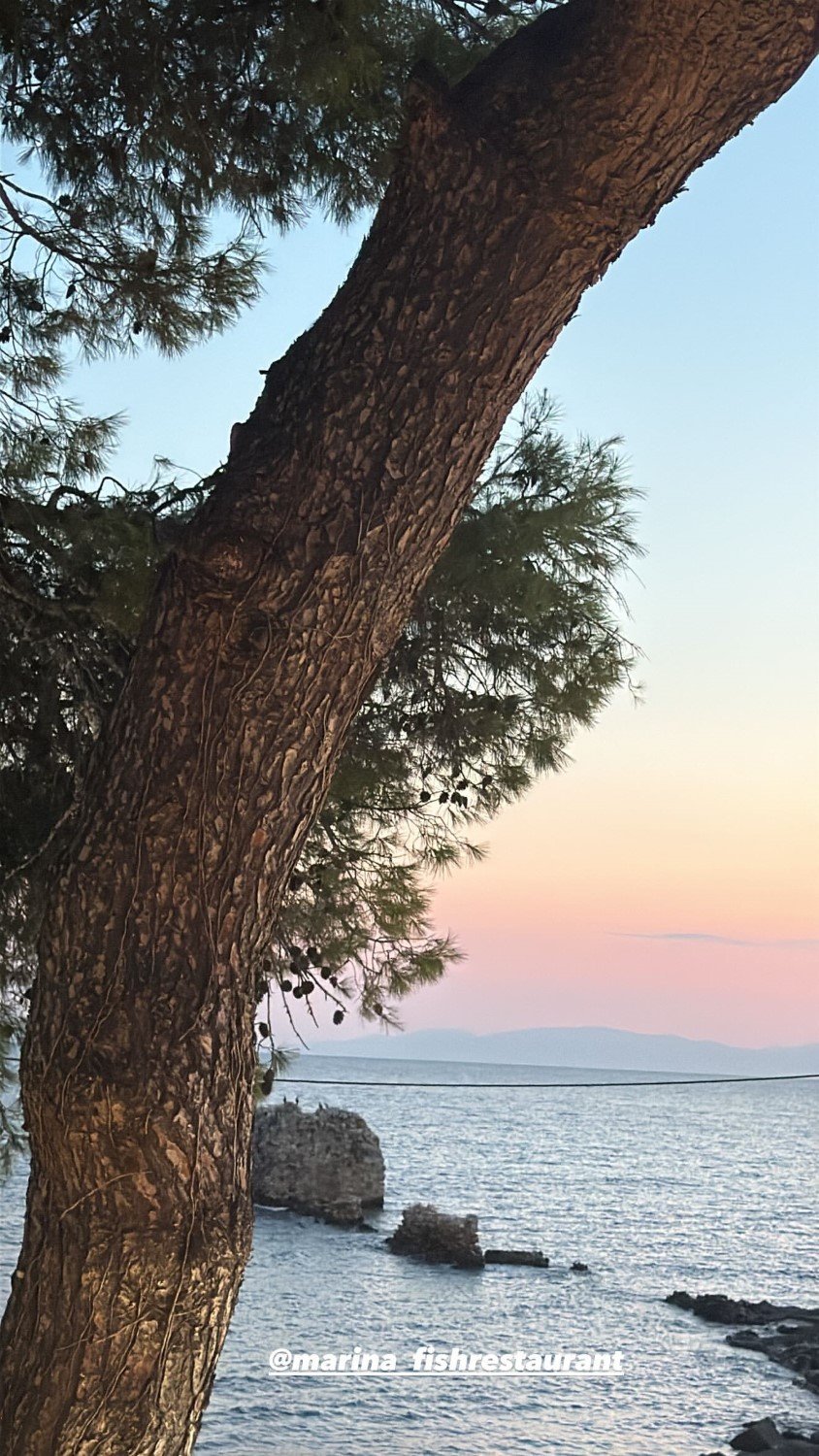 Η Φαίη Σκορδά απαθανάτισε τη θέα από γνωστό εστιατόριο που επισκέφθηκε