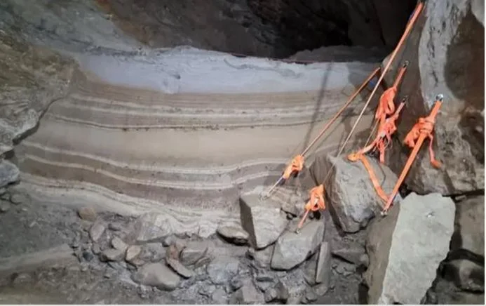 Τα ευρήματα ζωγραφίζουν το τοπίο μιας Αρκτικής που τότε ήταν κατά κύριο λόγο ελεύθερη από πάγους / WIKIPEDIA