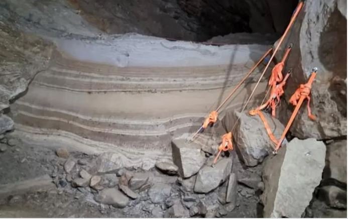 Τα ευρήματα ζωγραφίζουν το τοπίο μιας Αρκτικής που τότε ήταν κατά κύριο λόγο ελεύθερη από πάγους / WIKIPEDIA