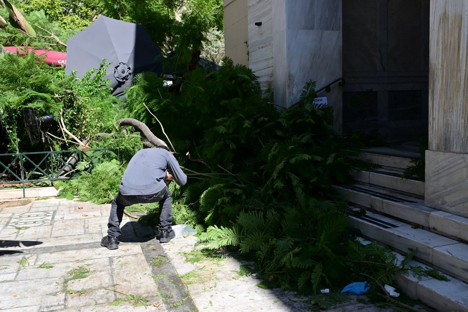 Δέντρο έπεσε πάνω σε πολίτες