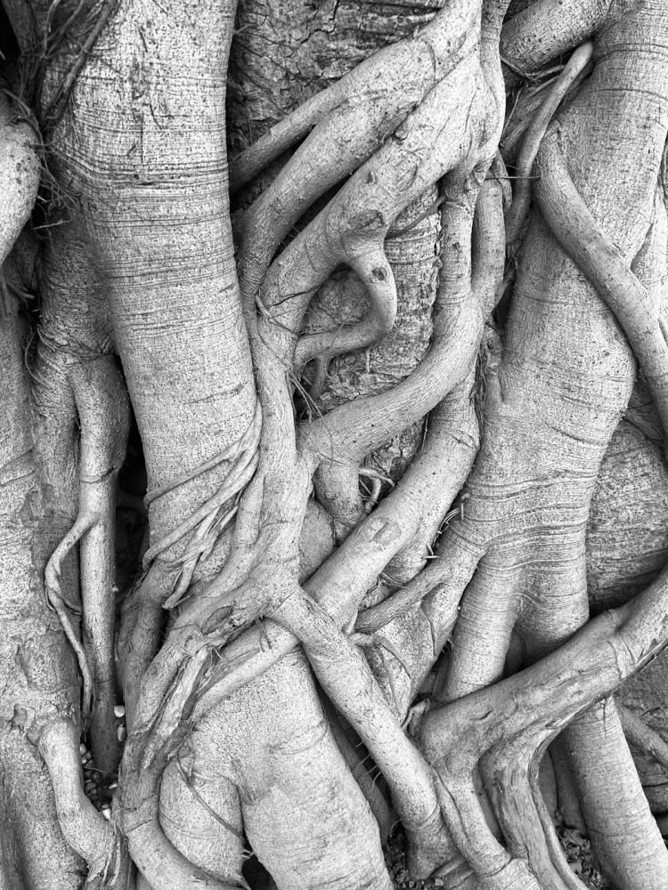 Αγκαλιά [ É treinte], Ραζαστάν, Ινδία 2024