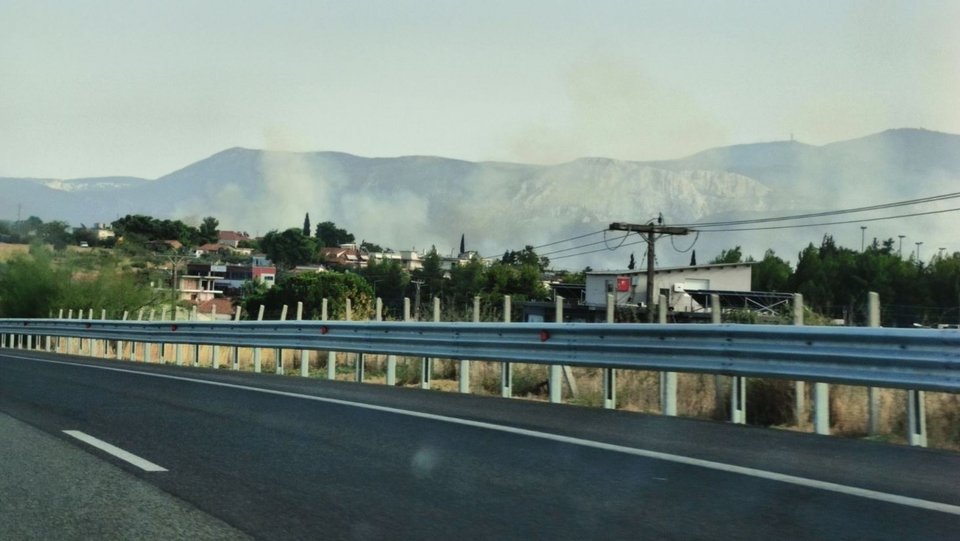 Φωτιά στα Οινόφυτα / Φωτογραφία: Facebook - Πυρκαγιά Ενημέρωση