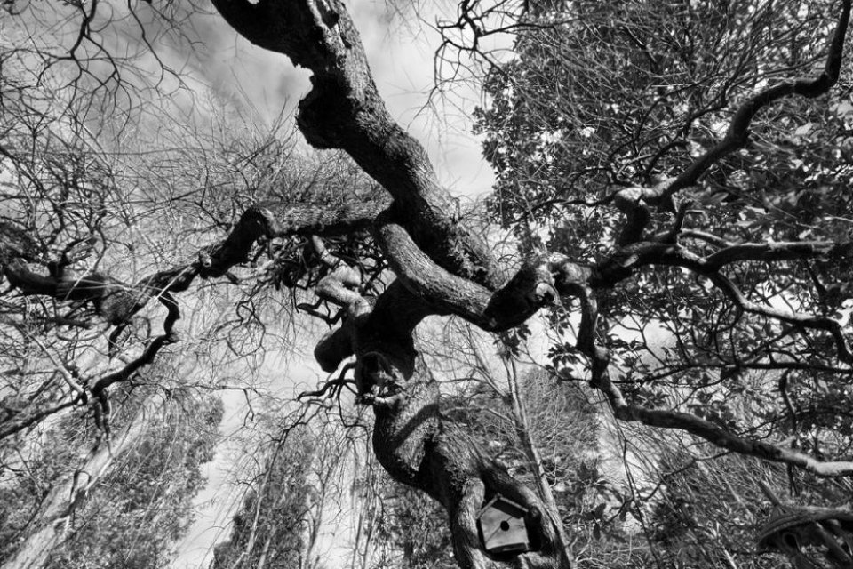 Interlacings