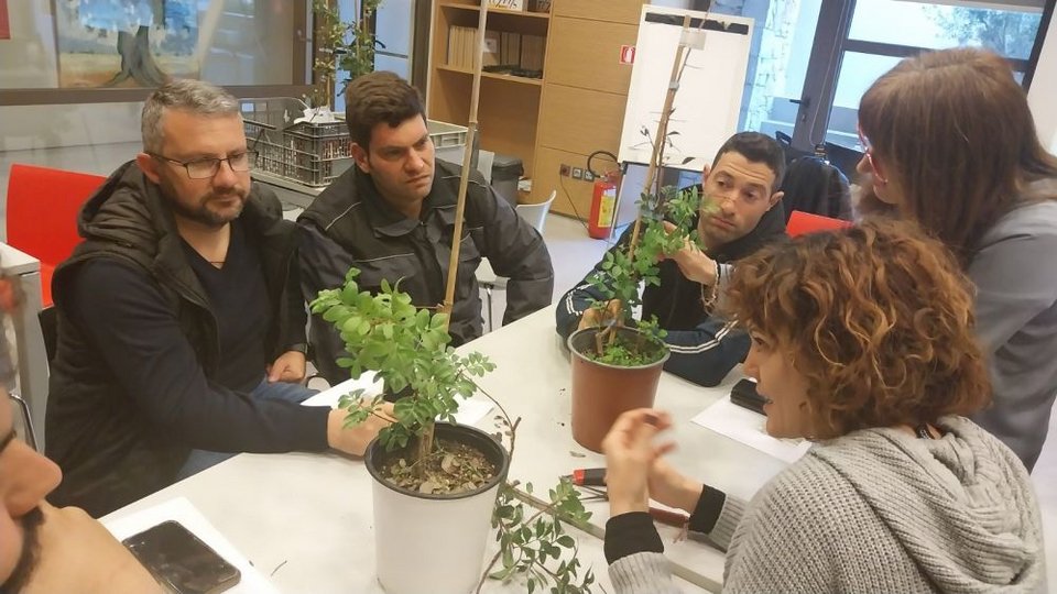 Οι σύγχρονες προκλήσεις για τη μαστίχα είναι η κλιματική κρίση, η τεχνολογική μετάβαση, η έλλειψη νέων καλλιεργητών και η ανάγκη για βιώσιμες πρακτικές