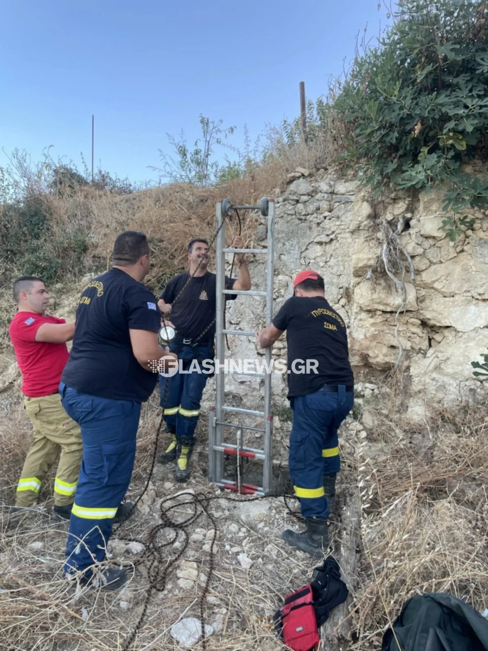 Τη διάσωση του ζώου ανέλαβαν πυροσβέστες των Βρυσών