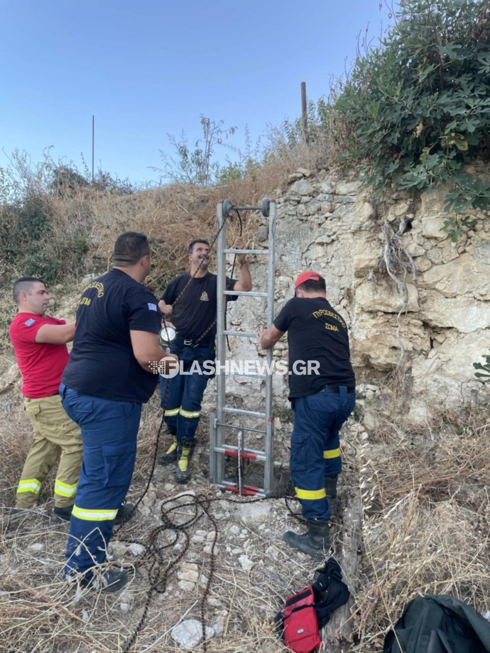 Τη διάσωση του ζώου ανέλαβαν πυροσβέστες των Βρυσών