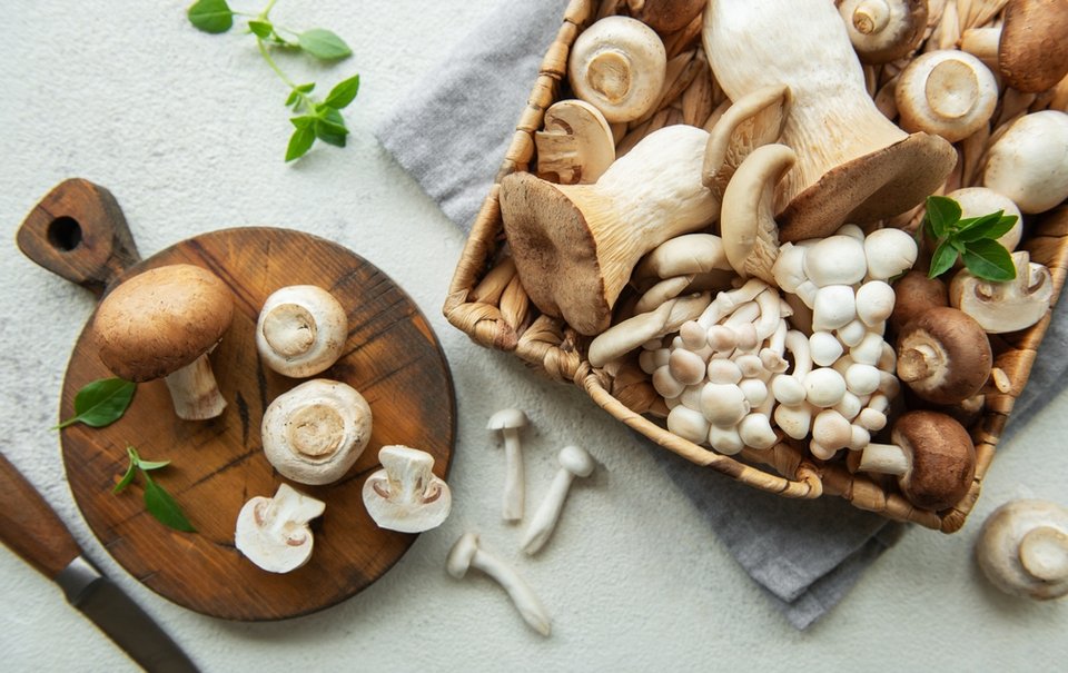 Φωτογραφία: Shutterstock