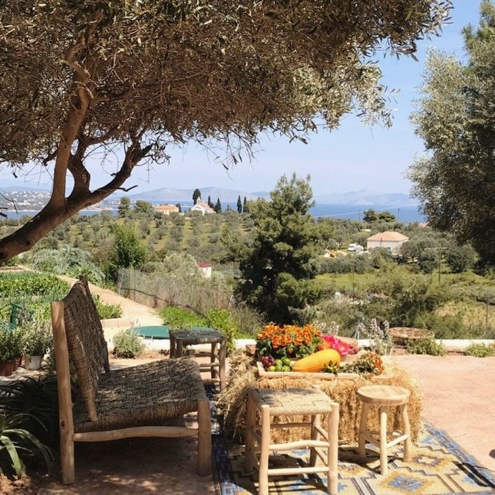 Γωνιά στη φάρμα του Ποσειδωνίου. 