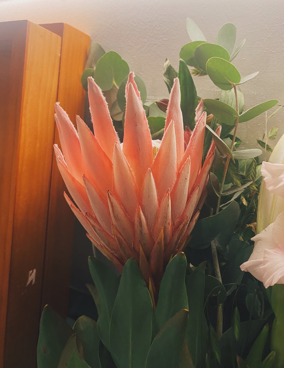 Λουλούδια στον πάγκο / Φωτογραφία: Μάνος Λειβαδάρος/iefimerida