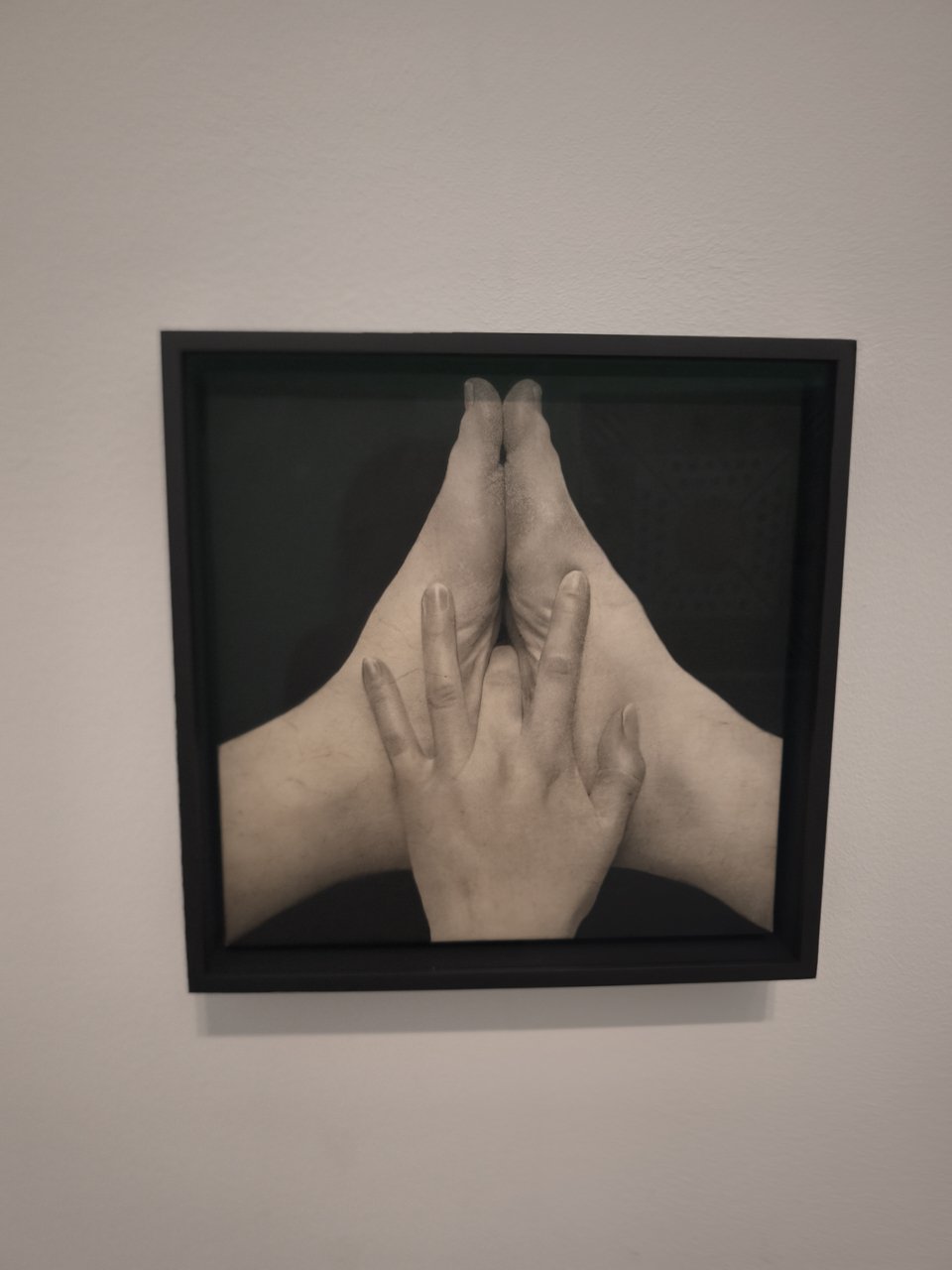 Έργο της Saskia Colwell