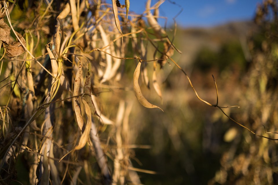 Φωτογραφία: ΑΠΕ ΜΠΕ