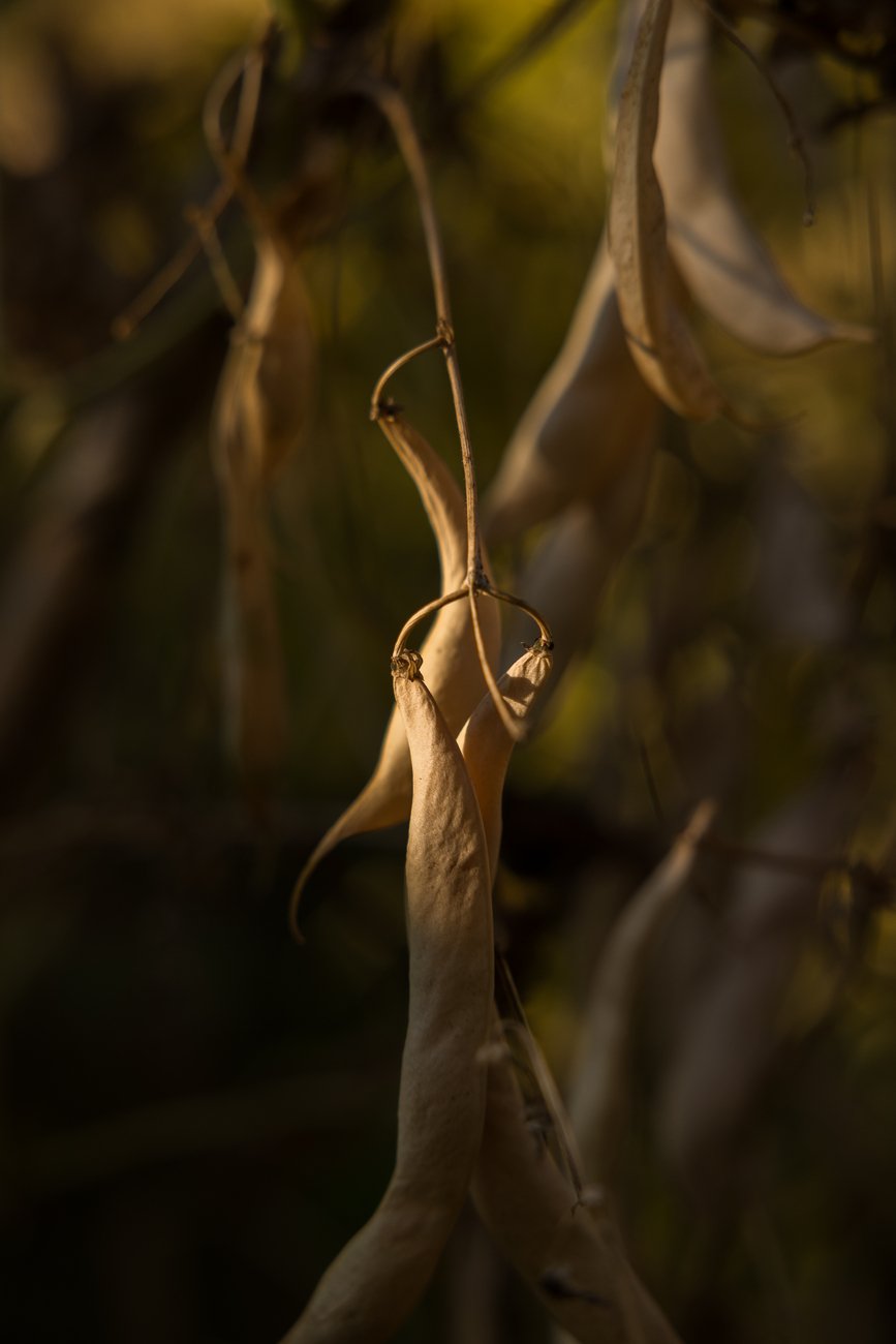 Φωτογραφία: ΑΠΕ ΜΠΕ