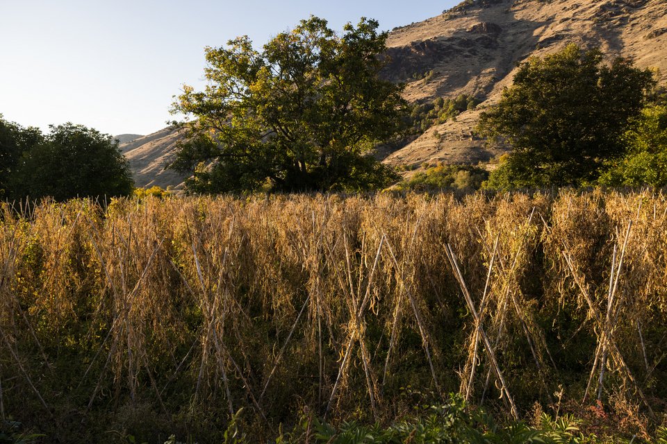 Φωτογραφία: ΑΠΕ ΜΠΕ