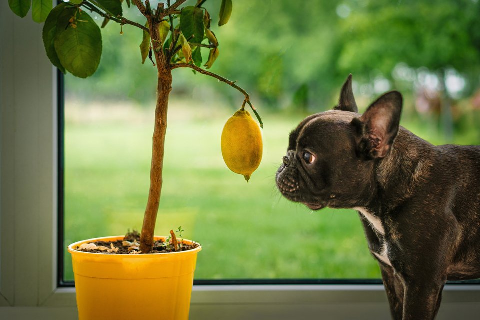 Φωτογραφία: Shutterstock