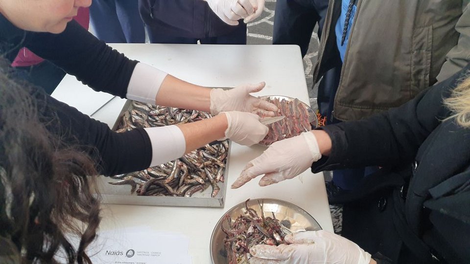 Εργαστήρι παρασκευής παστών. Ζωντανές επιδείξεις με συμμετοχή κοινού, καθ’ όλη τη διάρκεια της ημέρας.  Παράλληλα, παρουσιάσεις για την παριανή γαστρονομία και την ιστορία των παστών.