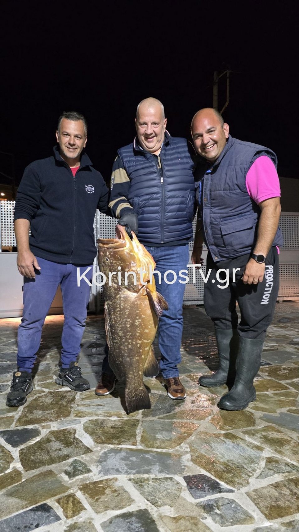 Ο ροφός-γίγας