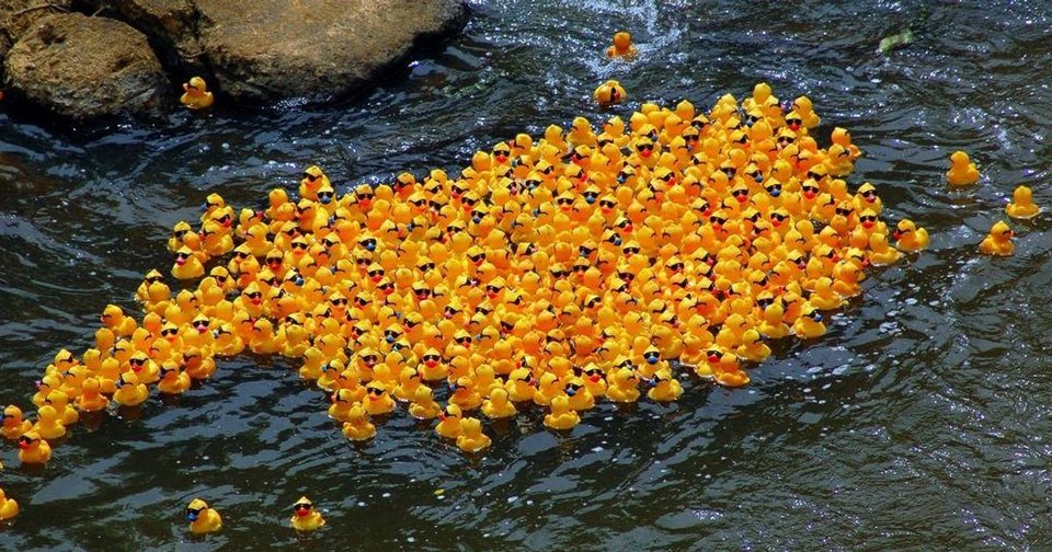 Τα επονομαζόμενα Friendly Floatees έγιναν κάτι παραπάνω από ένα χαριτωμένο ατύχημα - μετατράπηκαν σε ένα άτυπο επιστημονικό πείραμα / WIKIPEDIA