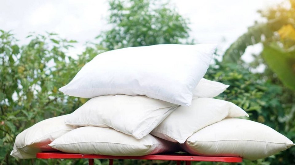 Αερίζετε τα μαξιλάρια στον ήλιο όποτε είναι δυνατό και αντικαθιστάτε τα κάθε δύο χρόνια, καθώς η μακροχρόνια χρήση συσσωρεύει υγρασία και μικροοργανισμούς / SHUTTERSTOCK