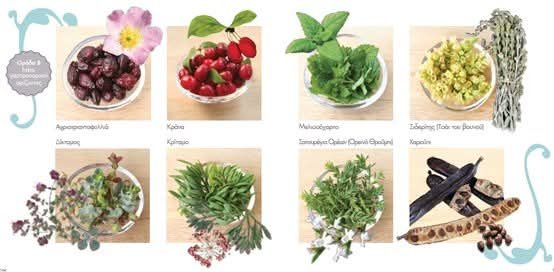   Φωτογραφία: Ελένη Μαλούπα, Δ. Θεσσαλονίκης  