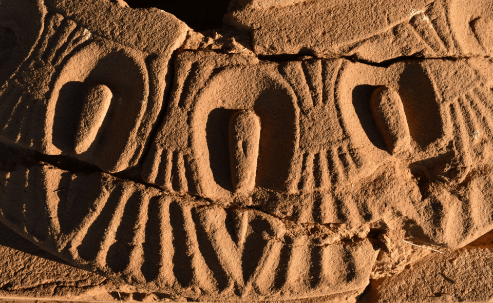 Λεπτομέρεια από τα δωρικά κιονόκρανα με την ανάγλυφη διακόσμηση του κάτω μέρους (εχίνος) από μοτίβα λωτού 