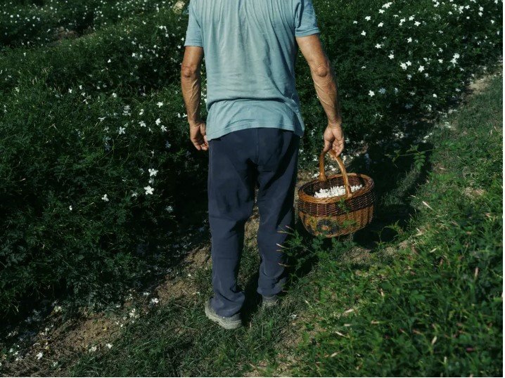 Η περιοχή του Γκρας, μόλις λίγα χιλιόμετρα μακριά, είναι γνωστή εδώ και αιώνες ως γενέτειρα της δυτικής αρωματοποιίας / CHANEL  