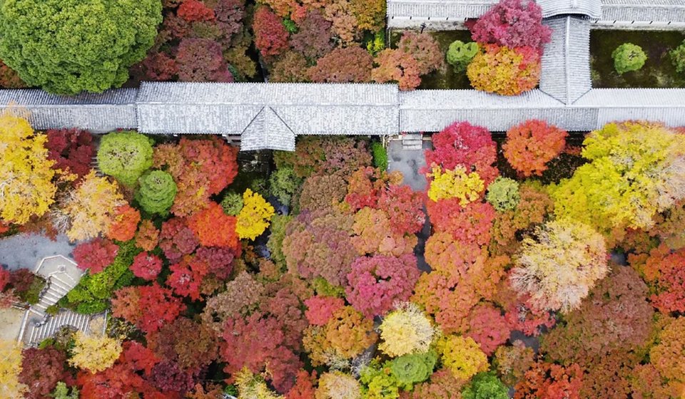 Και τελικά, τι σημαίνει όλη αυτή η ομορφιά, όταν πίσω της κρύβεται μια διαδικασία θανάτου, ανακύκλωσης και αναμονής; / GETTY