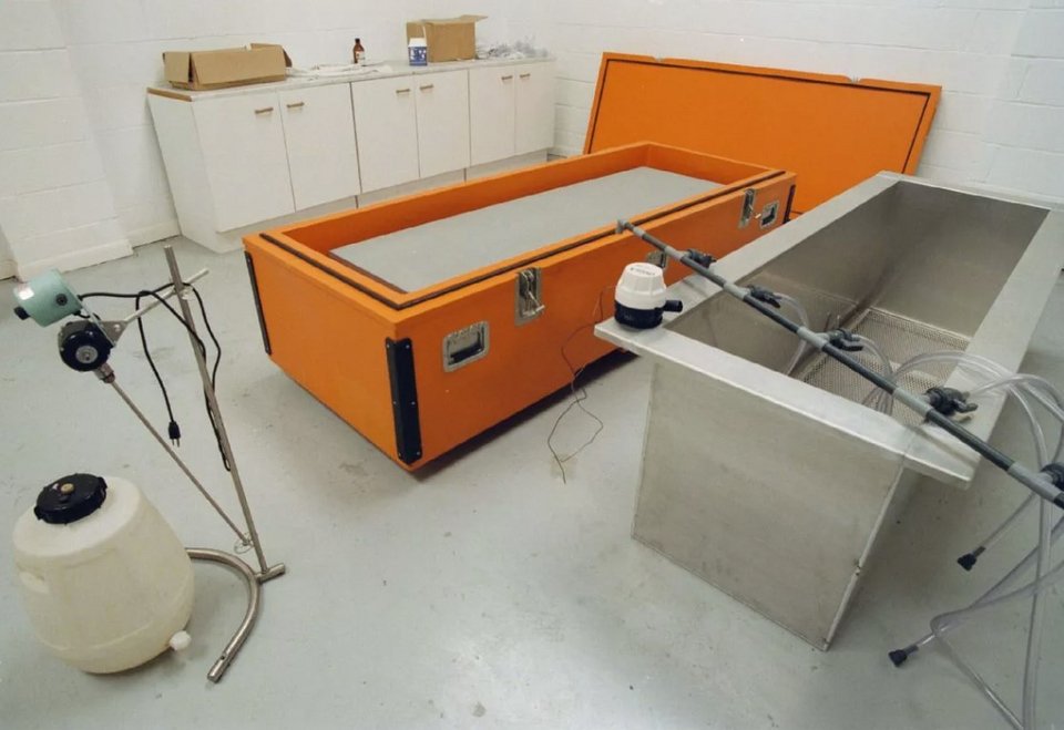 Στη συνέχεια, φεύγοντας για το Λονδίνο μέσα σε ένα κουτί γεμάτο ξηρό πάγο, η θερμοκρασία της μειώθηκε σταδιακά από -4°C σε -70°C / INSTAGRAM