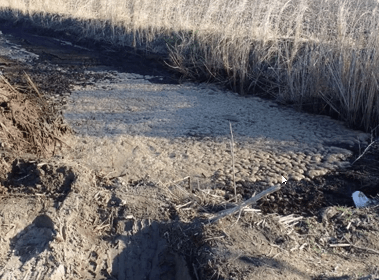 «Από την ανεξέλεγκτη απόρριψη των υγρών βιομηχανικών αποβλήτων προκλήθηκε ρύπανση του εδάφους»