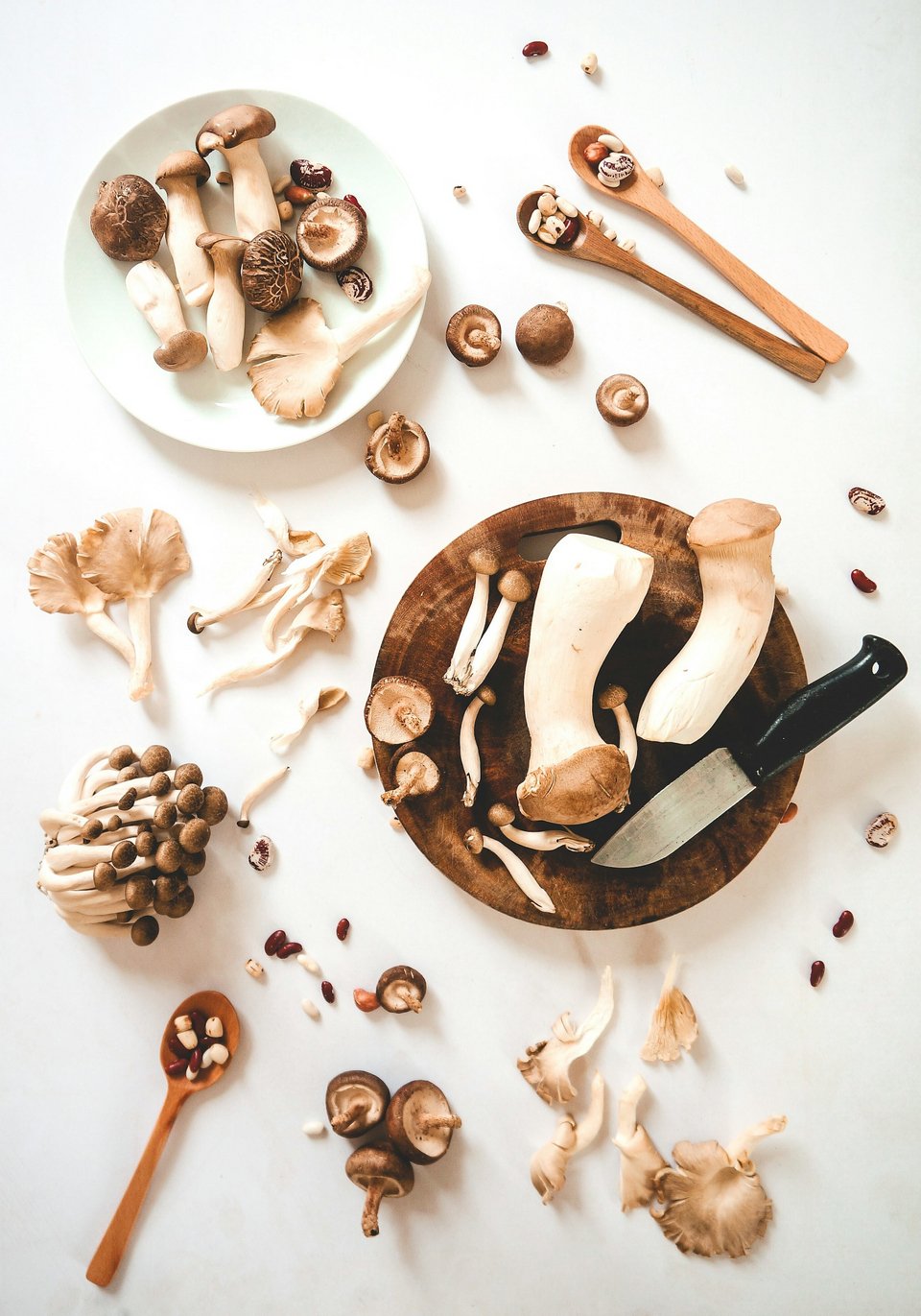 Ποικιλία μανιταριών / Φωτογραφία: Unsplash