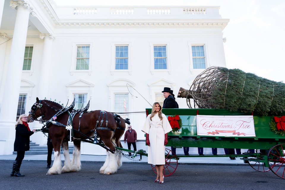 Η Μελάνια Τραμπ υποδέχθηκε το χριστουγεννιάτικο δέντρο του Λευκού Οίκου /ApPhotos  