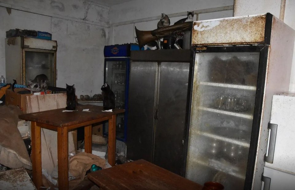 Φωτογραφία: ΕΛ.ΑΣ