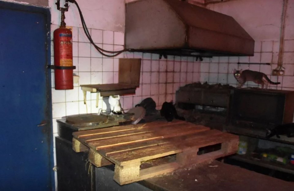  Φωτογραφία: ΕΛ.ΑΣ 