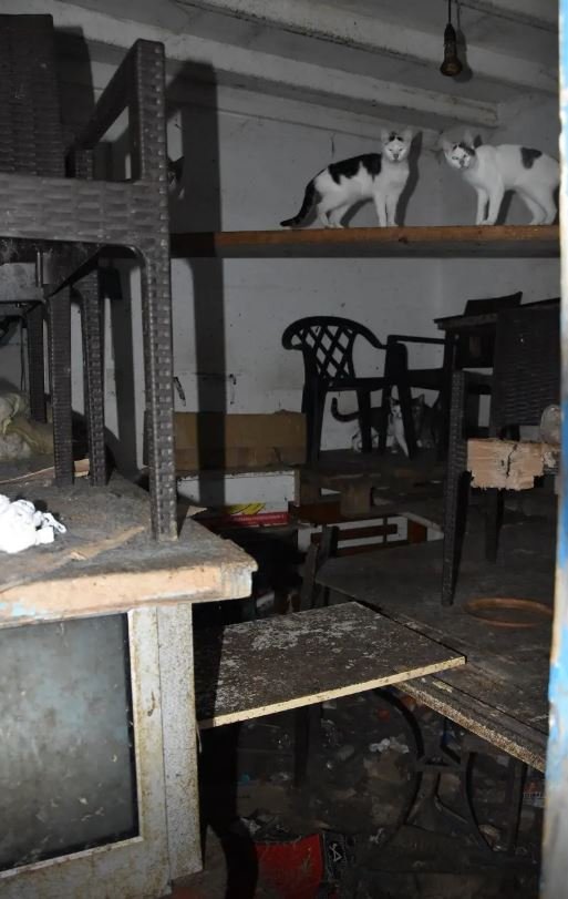  Φωτογραφία: ΕΛ.ΑΣ 