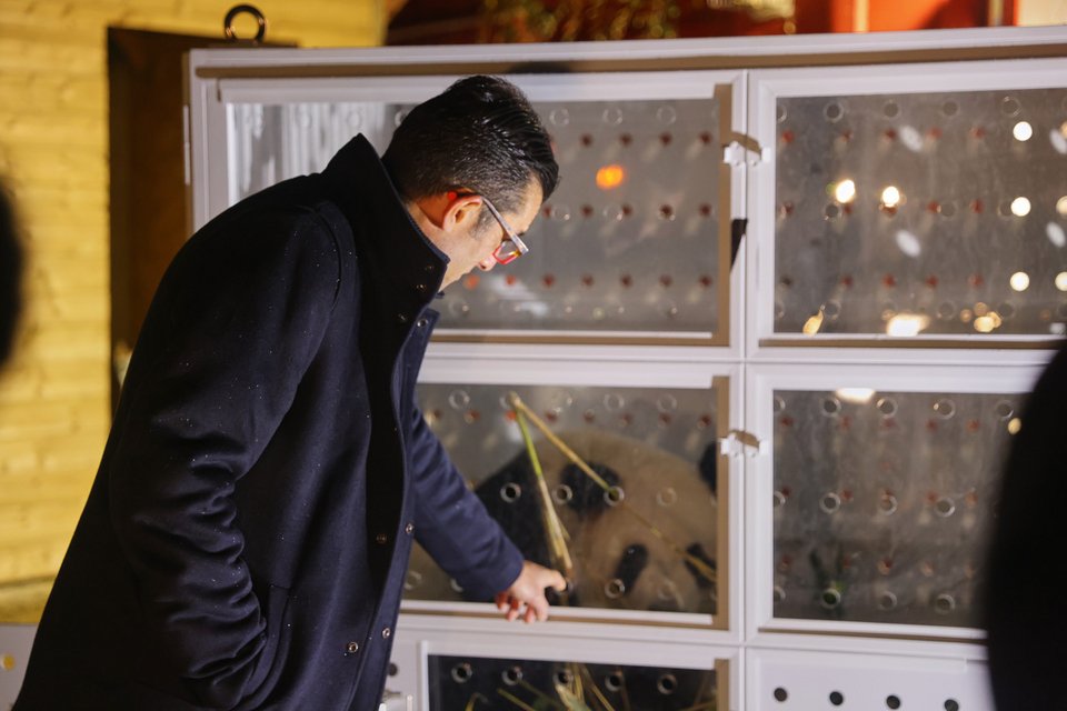 Ο διευθυντής του ζωολογικού κήπου όπου ζούσε το ζευγάρι των πάντα, τα χαιρετά / AP