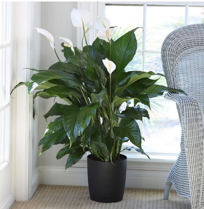 Φωτογραφία: Instagram