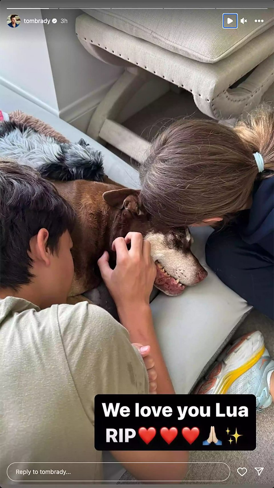 Η ανάρτηση του Τομ Μπρέιντι στο Instagram για τον αγαπημένο του σκύλο, τη Λούα 
