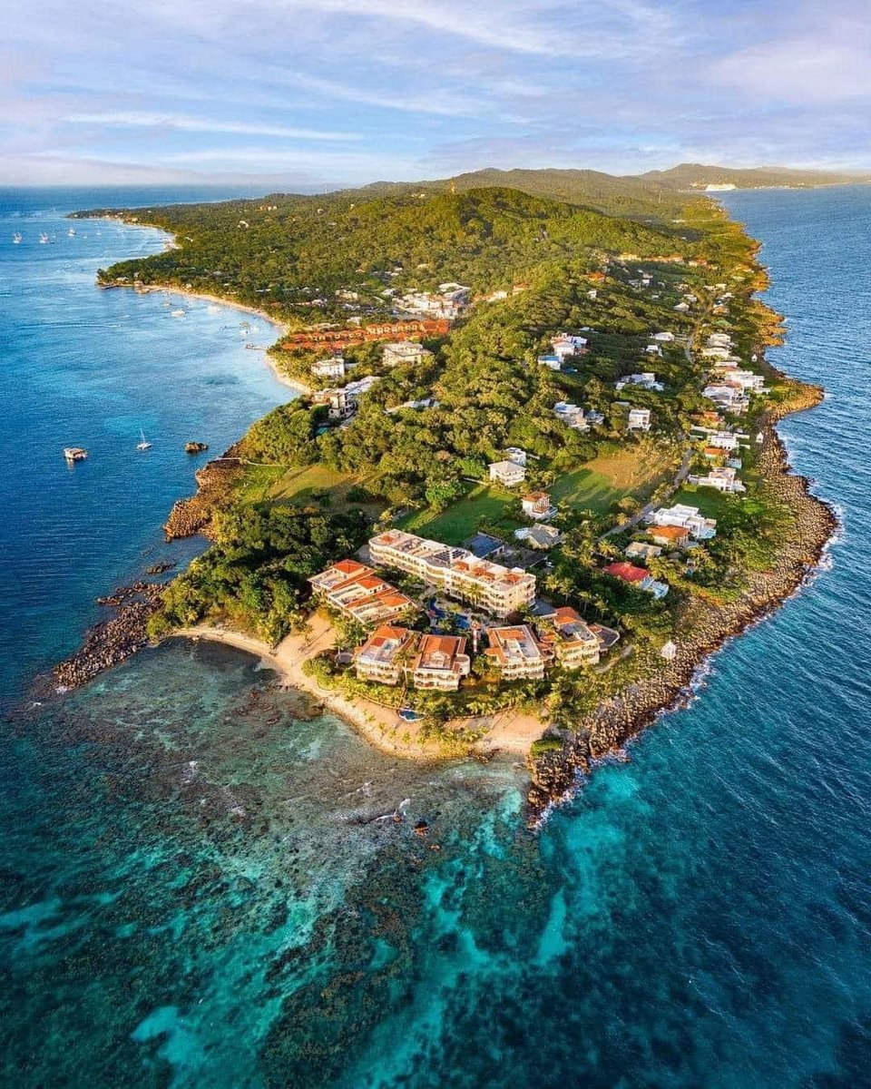 Η Vitalia γεννήθηκε μέσα στον οργανισμό της Próspera, μιας ZEDE που ιδρύθηκε το 2017 με τη λογική ότι μια επιχειρηματική οντότητα θα μπορούσε να διοικήσει πιο «αποτελεσματικά» από ένα κράτος / WIKIPEDIA