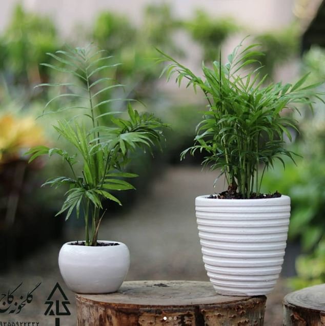 Φωτογραφία: Instagram