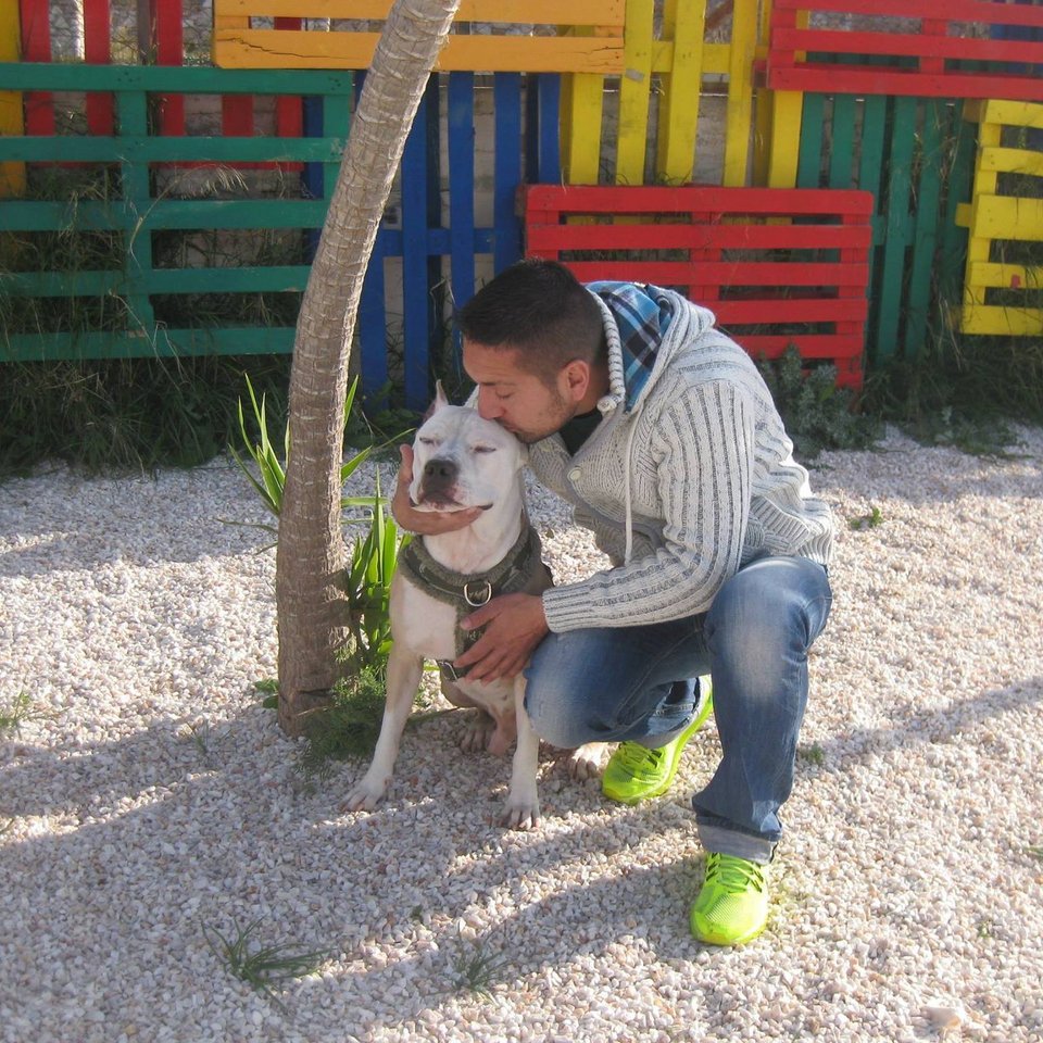 Ο εκπαιδευτής και σύμβουλος συμπεριφοράς σκύλων με πολύχρονη εμπειρία, κ. Δημήτρης Γραμματικάκης 