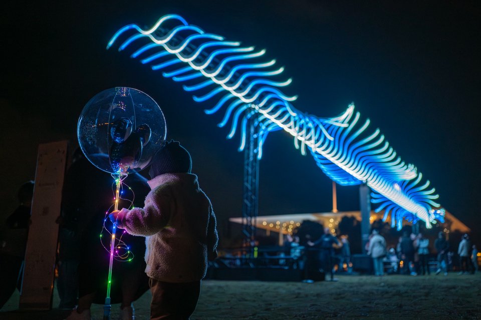 A BIRD PASSING BY στο Ξέφωτο