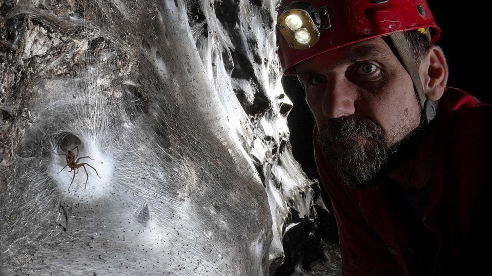 Το εύρημα δεν εντυπωσίασε μόνο για το μέγεθός του, αλλά κυρίως για όσα αποκαλύπτει σχετικά με την εξέλιξη, τη συνεργασία και την προσαρμοστικότητα της ζωής σε ακραία περιβάλλοντα / INSTAGRAM