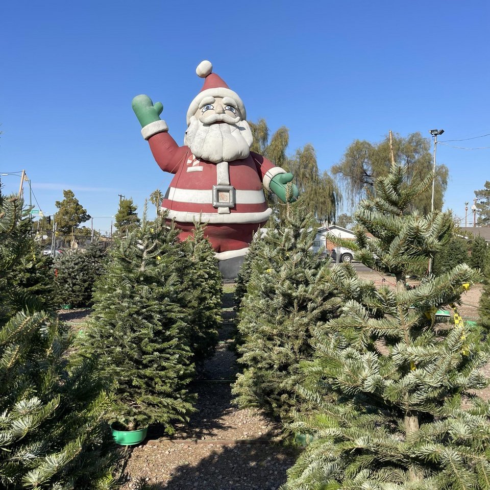 Φωτογραφία: Facebook/Kraemer’s Tree Lot