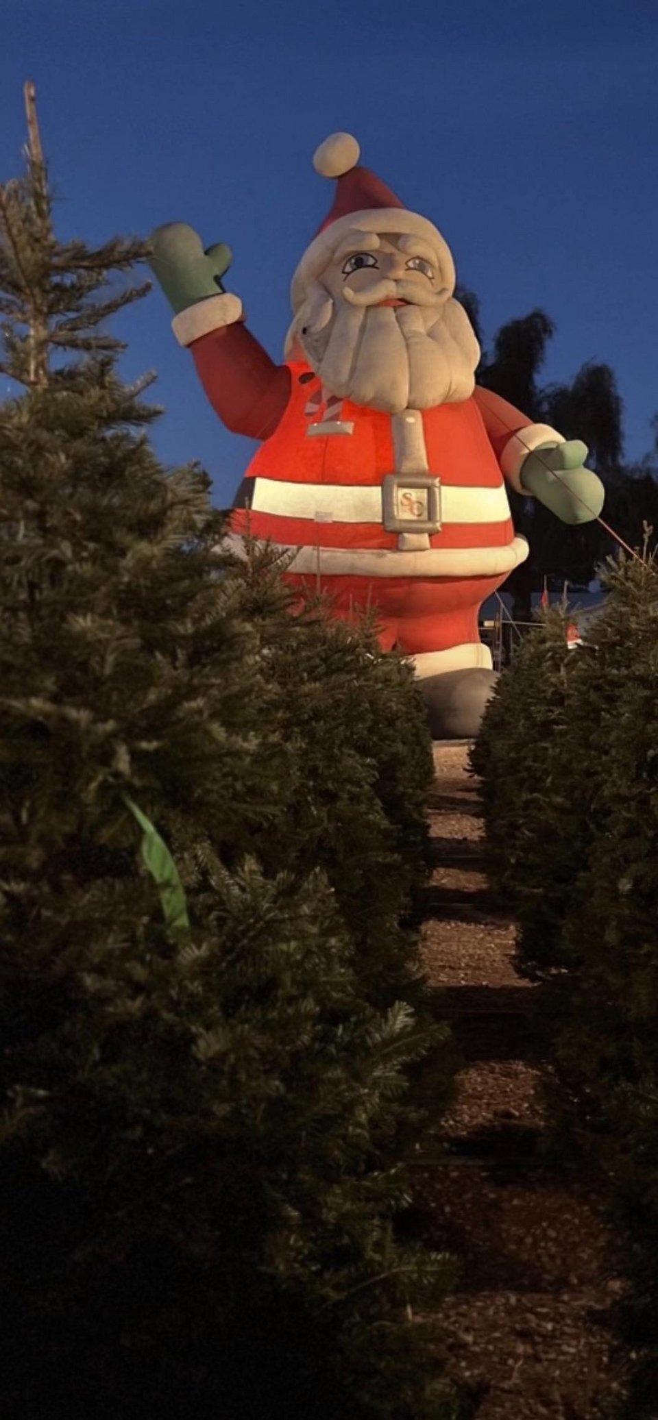 Φωτογραφία: Facebook/Kraemer’s Tree Lot