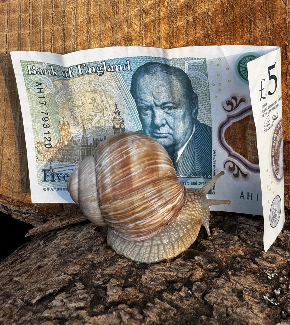 Ο Τέρι Μπολ αντί να το αποδεχθεί, αποφάσισε ότι ο σκοπός της ζωής του θα είναι να το ξεγελάει – όχι μία φορά, αλλά ξανά και ξανά, μέχρι την τελευταία του μέρα / INSTAGRAM