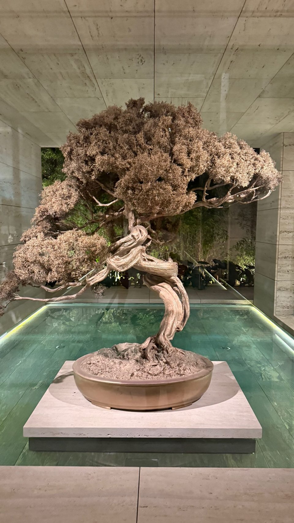 Ο εξωτερικός χώρος με φυτά και πισίνα