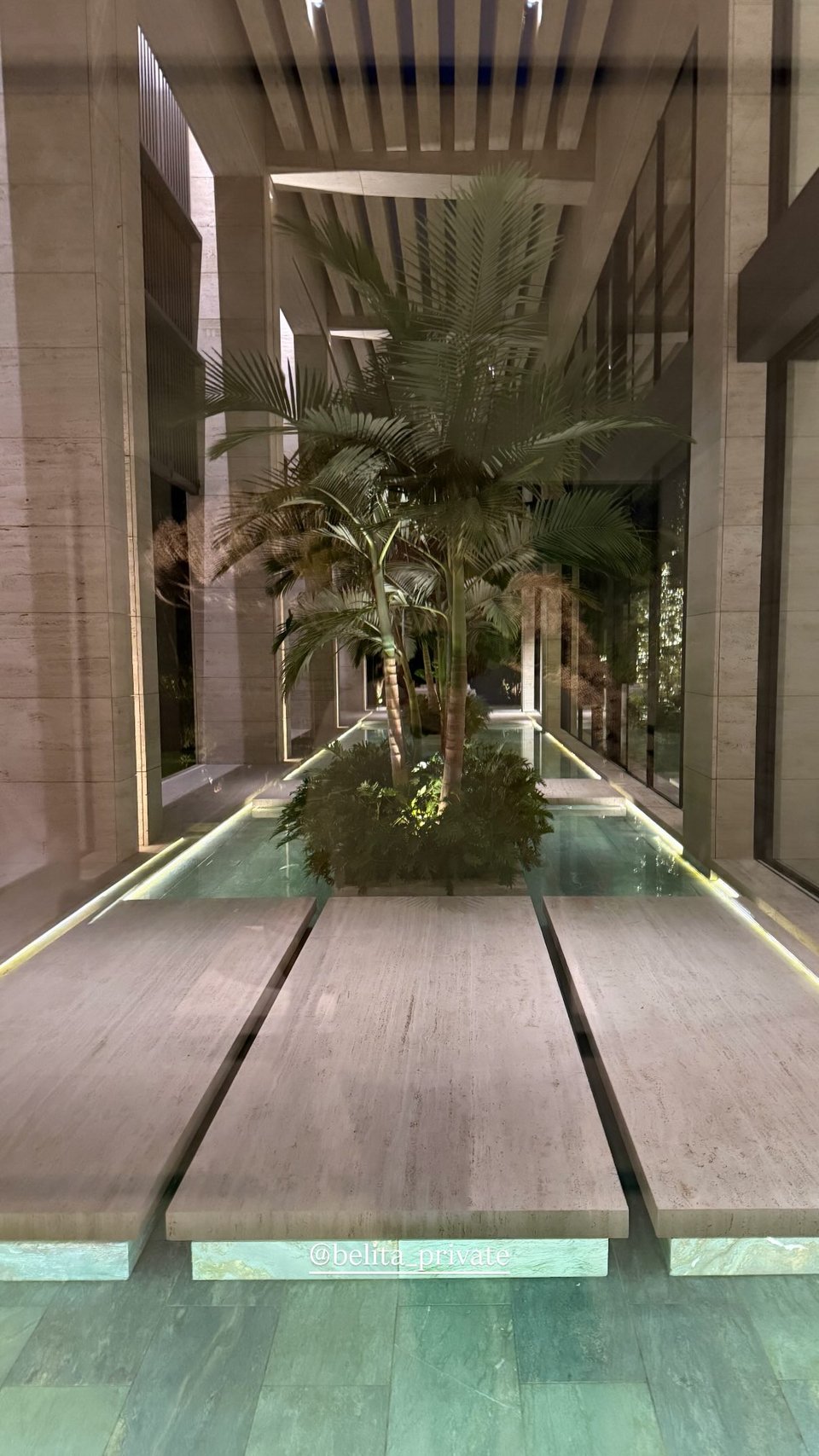 Ο εξωτερικός χώρος με φυτά και πισίνα