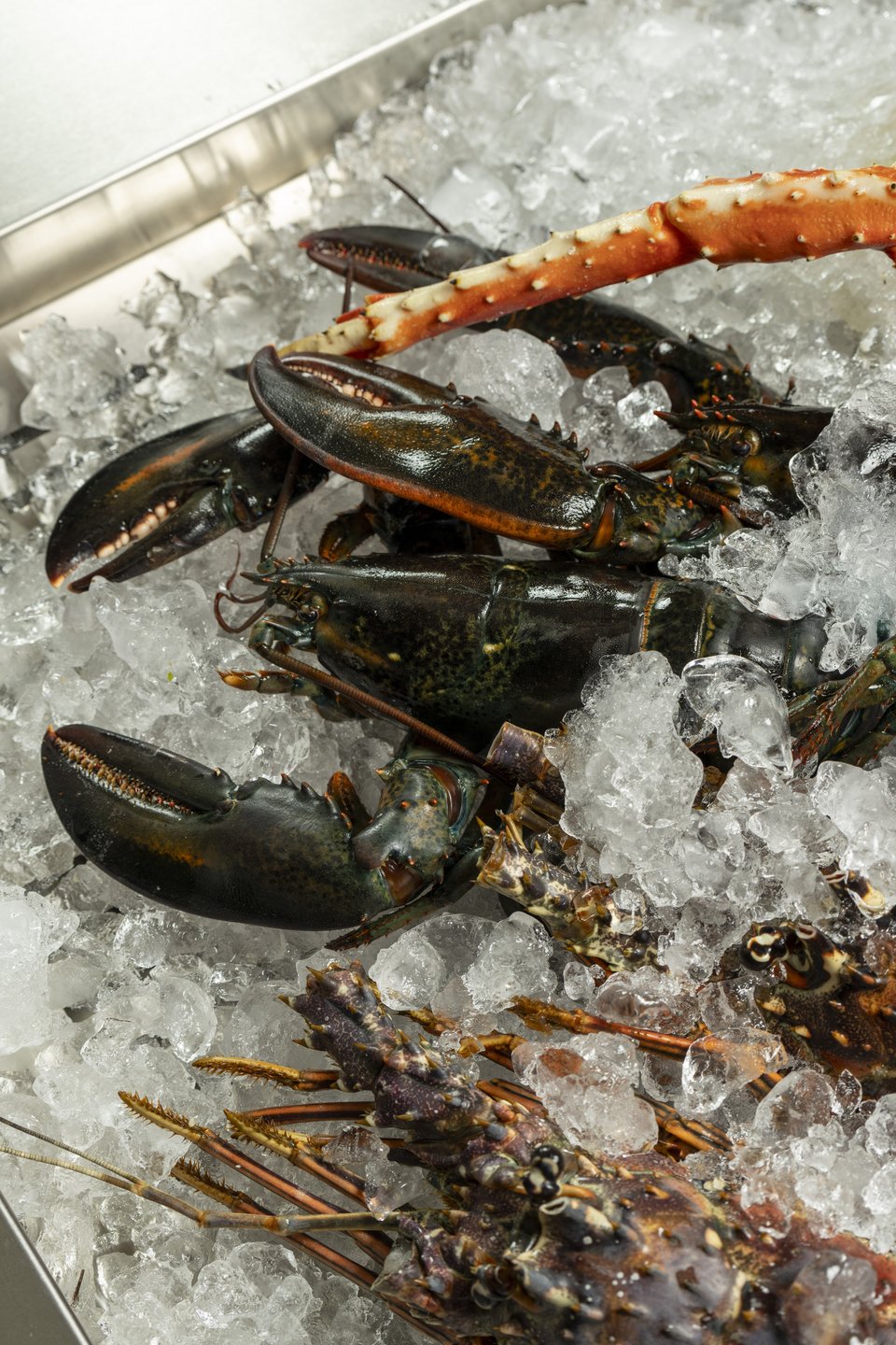 Η ψαριά της ημέρας. 