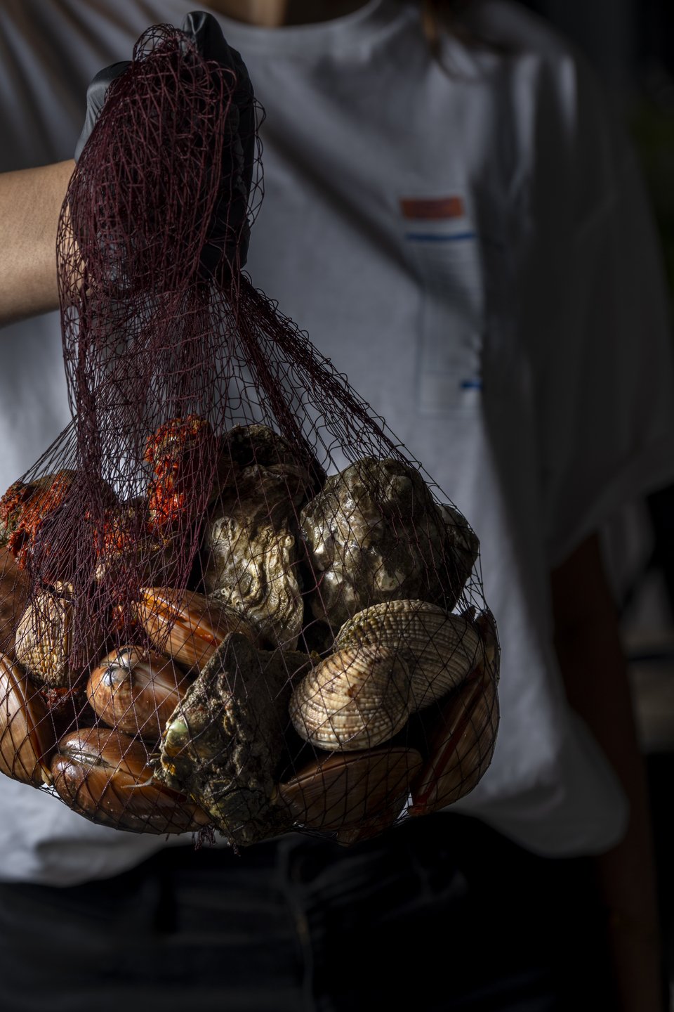 Tα όστρακα της ημέρας έρχονται από καΐκια της Χαλκίδας.  